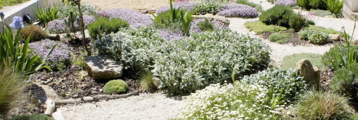 Allelopathic plants Pepinieres LAFORET